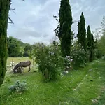 ファームステイ Fattoria Agrituristica Casale Venezia Bio