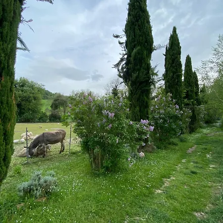 Farma Fattoria Agrituristica Casale Venezia Bio